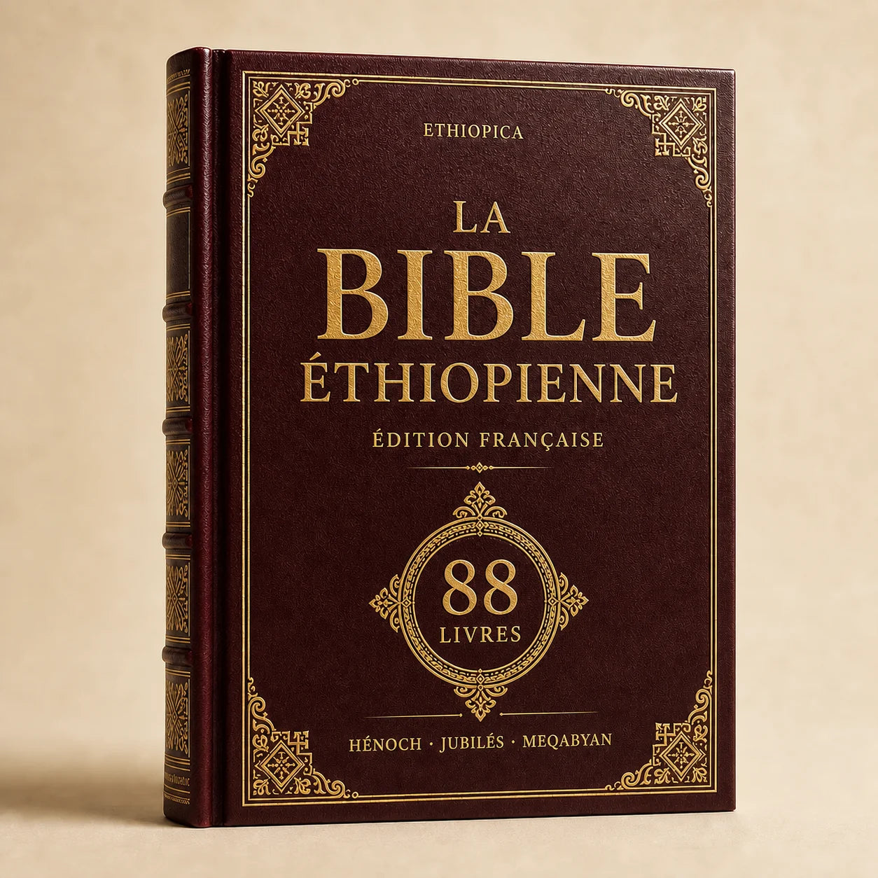 Lot de 2 Bibles Éthiopiennes